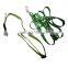 Ribbon Pet Collar and Leash