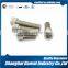 Supplier from China 304 316 Hex Bolt DIN912 Hexagon Socket Cup Head Screws