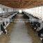 Light Steel Shed for Dairy Cow and Milk Cow