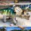 MY Dino-C022 Kids amusement rides for sale