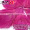 CHINAZP Bulk Sale Selected Prime Quality Beautiful Dyed Hot Pink Trimmed Peacock Feathers Eyes for Sale