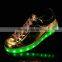 2016 Suitable Fashion Christmas Led Lights And Snow Falling Led Christmas Lights