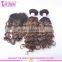 2016 Best Quality Deep Wave Brazilian Remy Ombre Hair Weave Cheap Human Hair Lace Closure