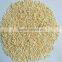 Dried Garlic Granule