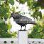 Black Feathered Small Halloween Crows