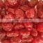 new crop dried cherry tomatoes