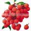 100% water solubility Litchi Fruit Powder