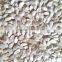 wholesale Pumpkin Seed Show White new crop with best price