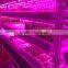 Hot Seller 20w Cheap Indoor Led Grow Lights That Work