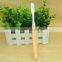 portable soft toothbrush fancy laser hotel toothbrush