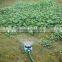 Plastic ground set sprinkler with 5 function