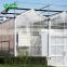 Efficient Solar Energy Powered Greenhouses and Hydroponic Tomato Greenhouse