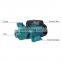 QB Small Clean Water Submersible Pump With Power Supply Household High Lift