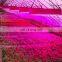 Super Power 2000W Indoor Plant growth bloom Lamp Veg and Flowering Full Spectrum Led Grow Lights