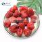 Sinocharm Good Taste Dried Red Fruit Strawberry Whole From Factory FD Strawberry