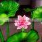 Handmade Murano Glass Lotus for Pond Decor