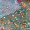 Printed Spun Rayon Fabric Woven 100 Rayon Fabric Floral Digital Print Viscose Rayon Fabric for Dress