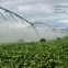 32 Hectares Agricultural Machinery Automatic Center Pivot Irrigation System
