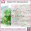 printed window film glass decorative tapes film for glass