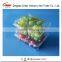 500g Disposable Clear Strawberry Packaging Fruit Container