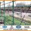 galvanized and pvc barbed wire Barbed Wire