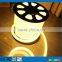 82' spool 24V 360 degree round blue neon light strip for building                        
                                                                                Supplier's Choice