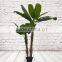 Artificial Realistic Banana Tree