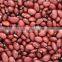 supplying SMALL RED BEANS (CHINA)for sale