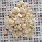 Supply with Chinese Blanched Bulk Apricot Kernels with good quality for Sales