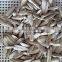 Roasted Salted White Sunflower Seeds