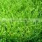 Newly Custom Desgin Garden Artificial Grass for Roof