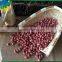 Colour Red Peanuts Kernels New Crop In 
