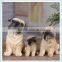 Resin Shar Pei Dog Statue With Cute Dog Design