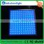 Quality dmx rgb panel wall light 5w/10w for entertainment lighting