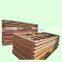 engraving machine with HIWIN guide / shandong woodworking machinery