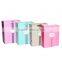 Beautifully New Design Customized Paper Gift Bag For Birthday Gift