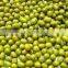 mung beans