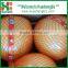 Fresh Pomelo/Chinese Pomelo Fruit/Pomelo Prices