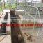 Hot-galvanized Layer Chicken Houses