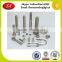 OEM&ODM Custom Hight Strenght Rigging Screw Galvanize From China