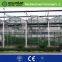 commercial glass greenhouse