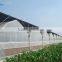 BLD Large Multi-span Plastic film Greenhouse/agriculture greenhouse