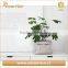 Grey Washable Paper Plant Bag,Kraft Paper Plant Pot