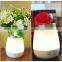 LED Table Vase Lamp with Built-in Lithium Battery