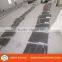 Imported gray marble Pietra Gray slabs / Pietra Gray