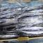 China Frozen Pacific Saury 80-100g3# Size for Sale