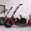 2017 THE BEST QUALITY most fashionable citycoco 2 wheel electric scooter, adult electric motorcycle