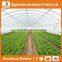 Heracles Trade Assurance tunnel greenhouse for sale