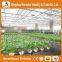 Heracles Commercial Idustrial Hydroponic Systems For PC Greenhouse /Vegetable Greenhouse