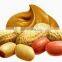 Stainless steel High quality lowcost packing machine for peanut butter